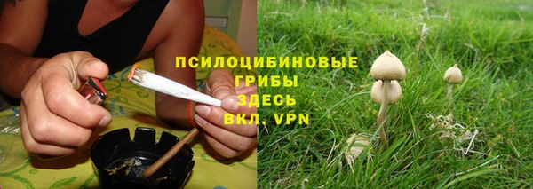 PSILOCYBIN Верхнеуральск